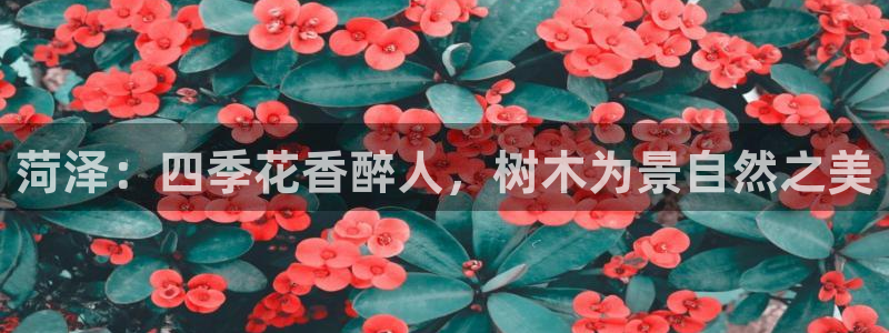 天顺娱乐也毫70648