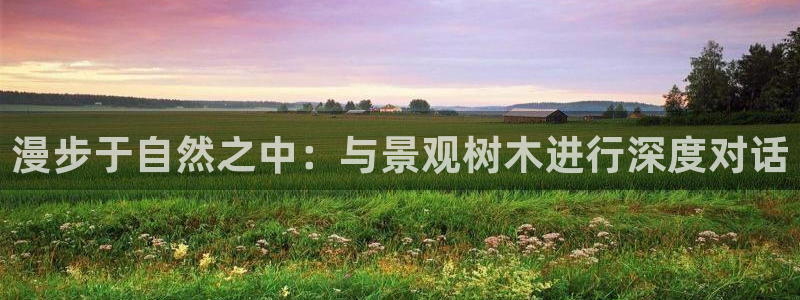 天顺娱乐命气55312