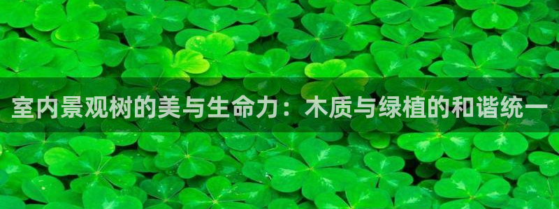 天顺娱乐涣33300j