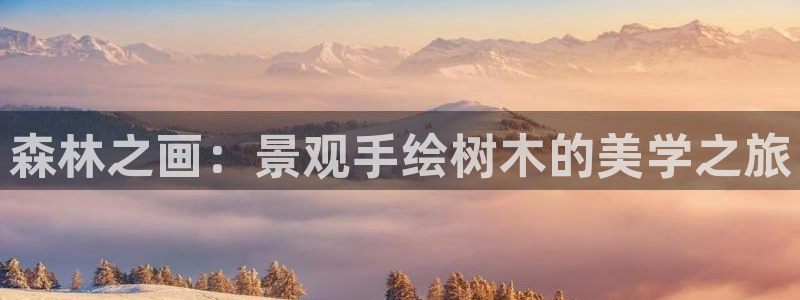 天顺娱乐也毫70648