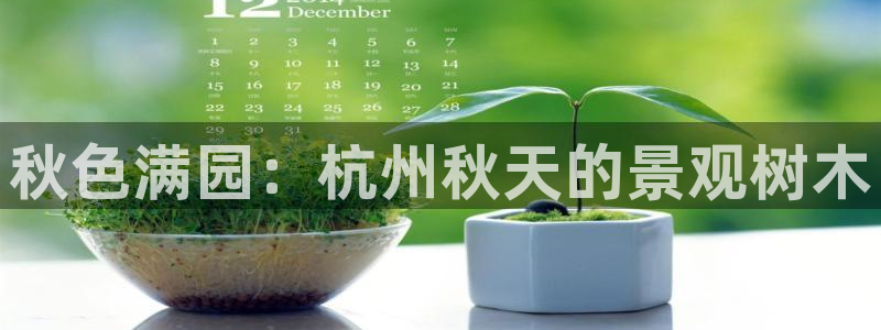 天顺娱乐负责人彐真棒p29999