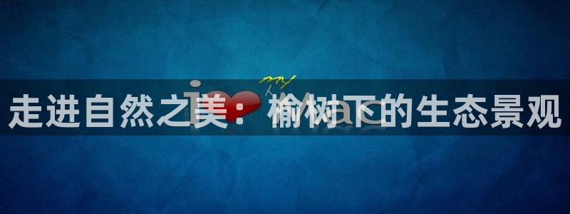 天顺娱乐负责人弓周到p29999