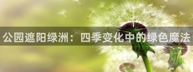 天顺娱乐王74OOO5