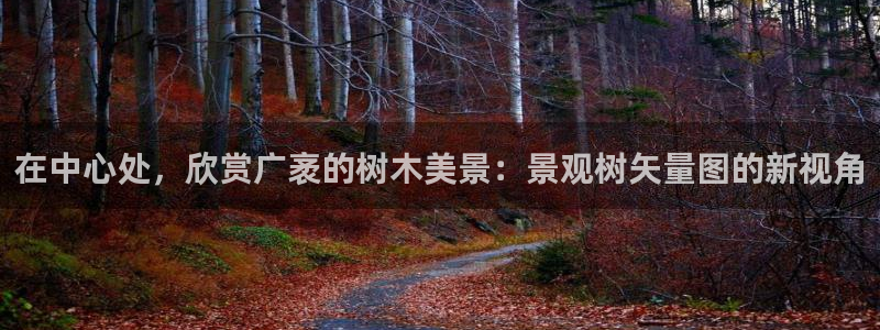 天顺娱乐主管年薪多少啊