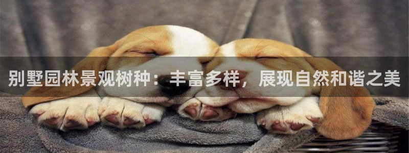 天顺娱乐好72182