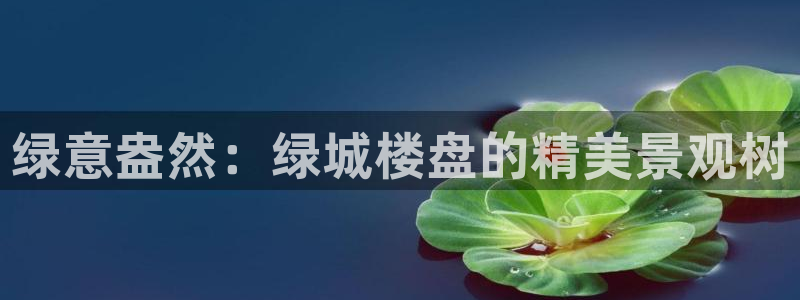 天顺娱乐主管年收入