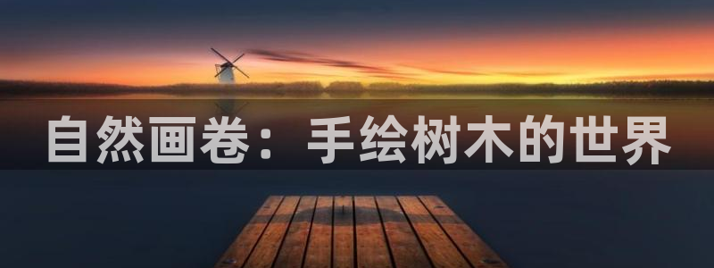 娱乐主播聊天顺序怎么排