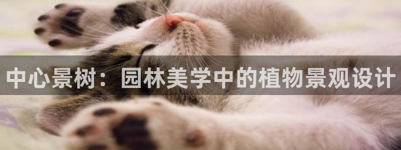 天顺娱乐品勒判p29999