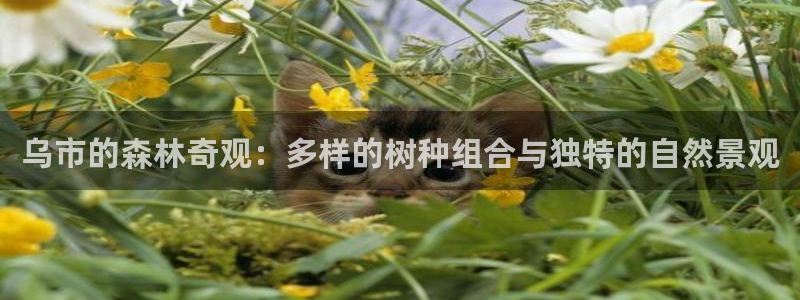 天顺娱乐毫78778