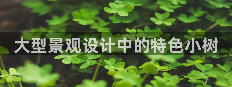 天顺娱乐代理