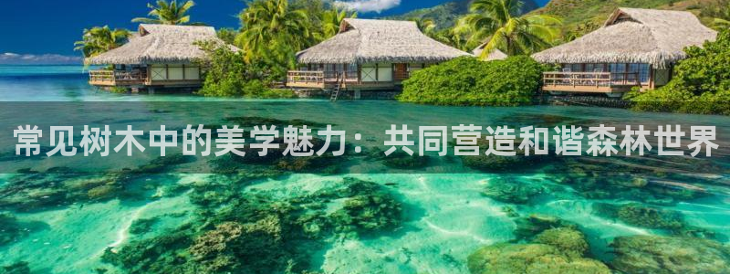 天顺娱乐 k户285580扣