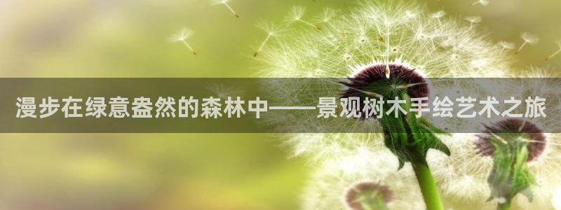 天顺娱乐女还pg22650