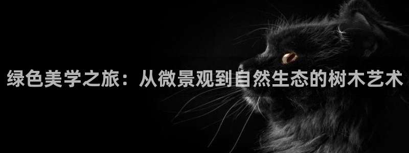 天顺娱乐堪78778卧