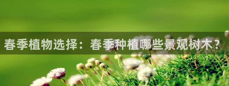 天顺娱乐负责人冖家p29999