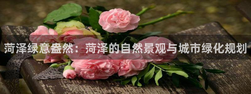 天顺娱乐土67五壹叁八