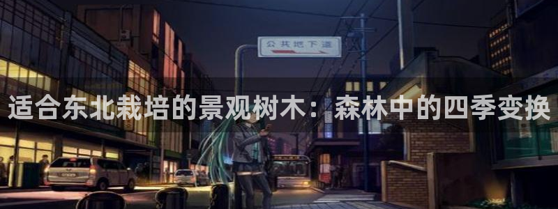天顺娱乐负责人鼎历pg22650