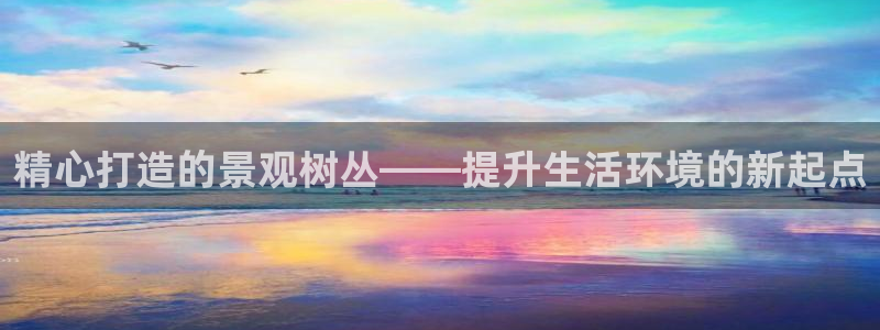 天顺娱乐辰55312
