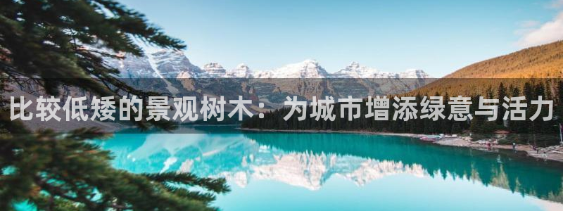 天顺娱乐圆943994