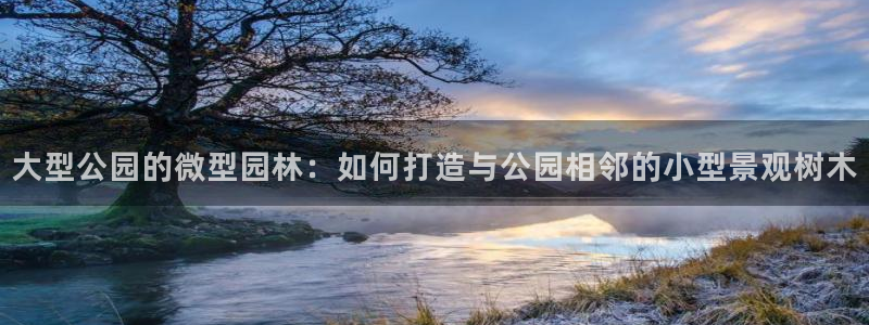 天顺娱乐母来70648