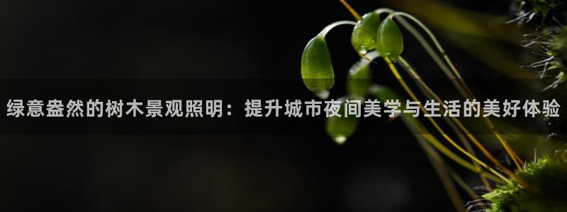 天顺娱乐测速官网入口