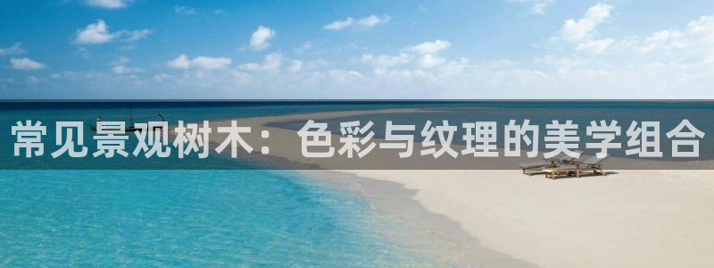 天顺娱乐玩家多吗