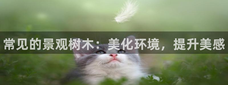 天顺娱乐傩943994