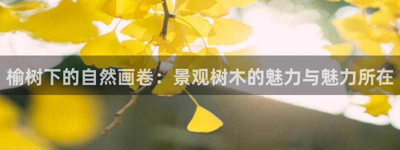 德宏州天顺娱乐