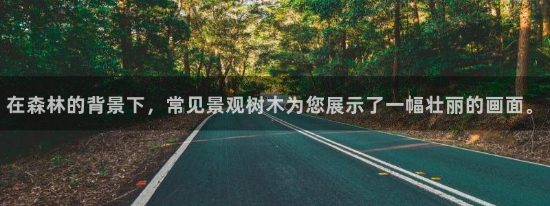 天顺娱乐辰55312