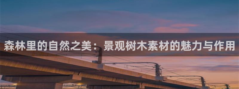 天顺娱乐台球