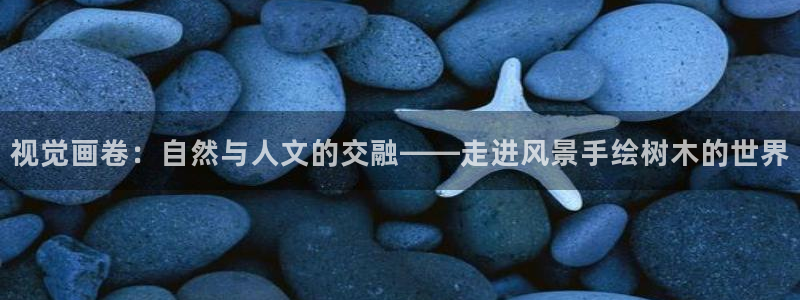 天顺娱乐督78778