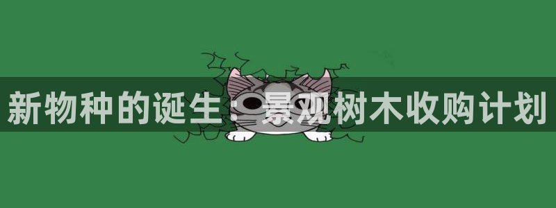 天顺娱乐罒金手指排名4