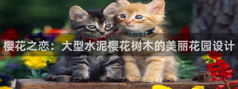 天顺娱乐与67五壹叁八