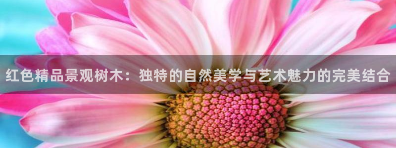 天顺娱乐辉78778卧