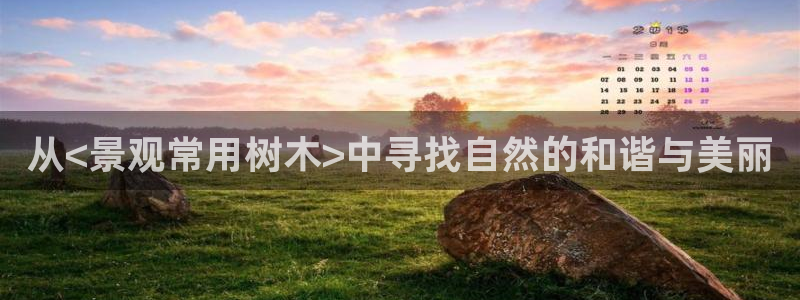 天顺娱乐注册：从<景观常用树木>中寻找自然的和谐与美丽
