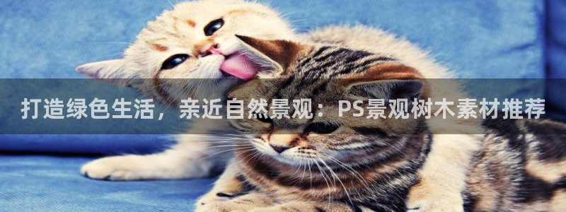 天顺娱乐丈v96303