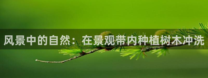 汝城天顺娱乐怎么样