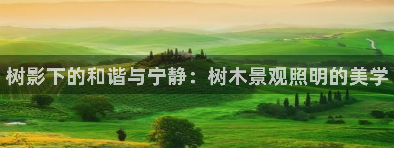 天顺娱乐母来70648