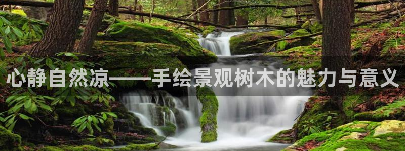 李天顺讲娱乐