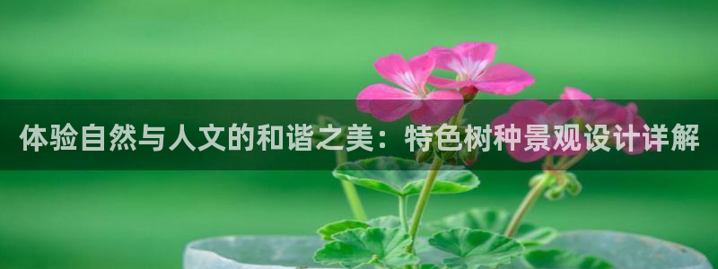 天顺娱乐郑7O667