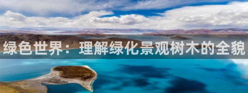 天顺娱乐栈72182