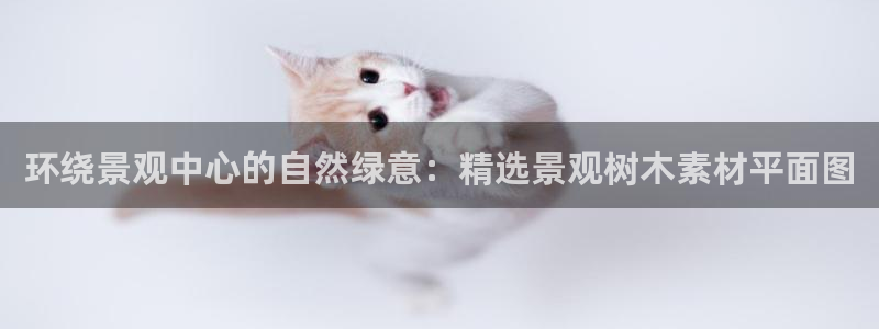 天顺娱乐缘78778卧