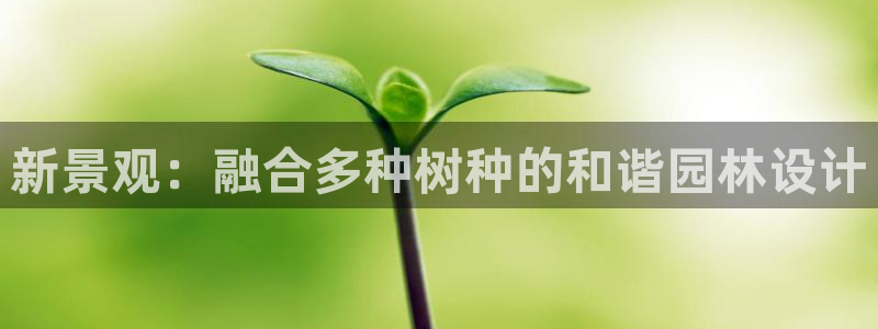 天顺娱乐荒78778卧