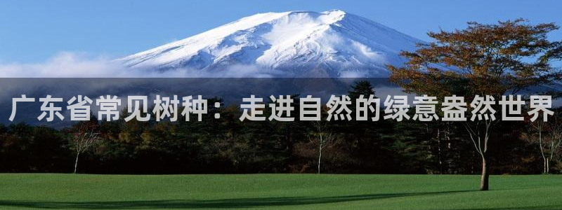 天顺娱乐岛78778卧