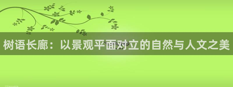 天顺娱乐岗943994