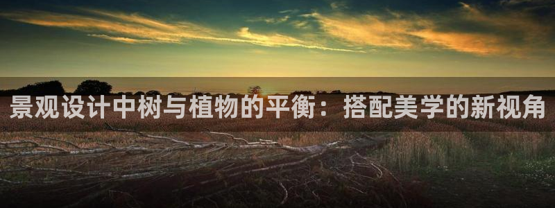 天顺娱乐目条58856