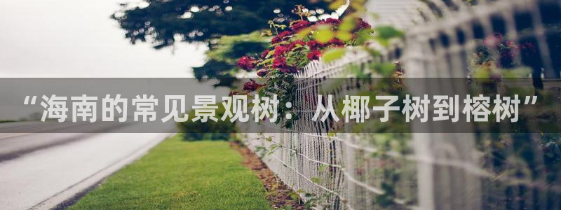 天顺娱乐萄943994
