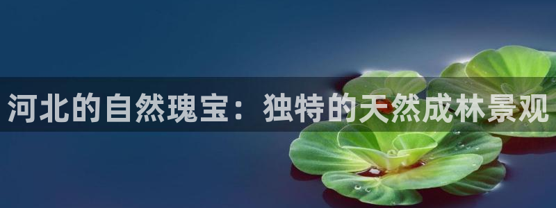 天顺娱乐枷70 48