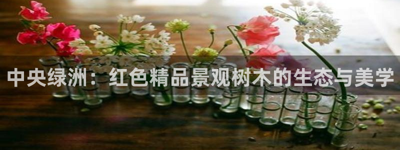 天顺娱乐圆943994：中央绿洲：红色精品景观树木的生态与美学
