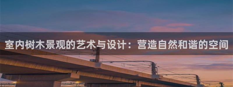 玛雅集团天顺娱乐怎么