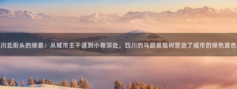 天顺娱乐起点 62562k